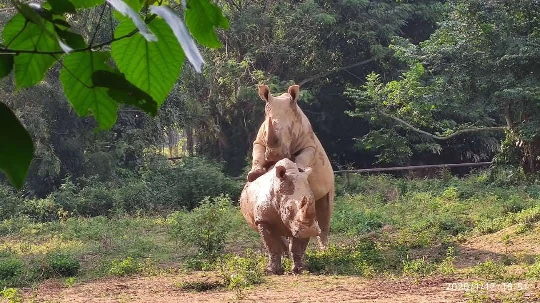 Uganda Wildlife Conservation Education Centre, Entebbe Uganda