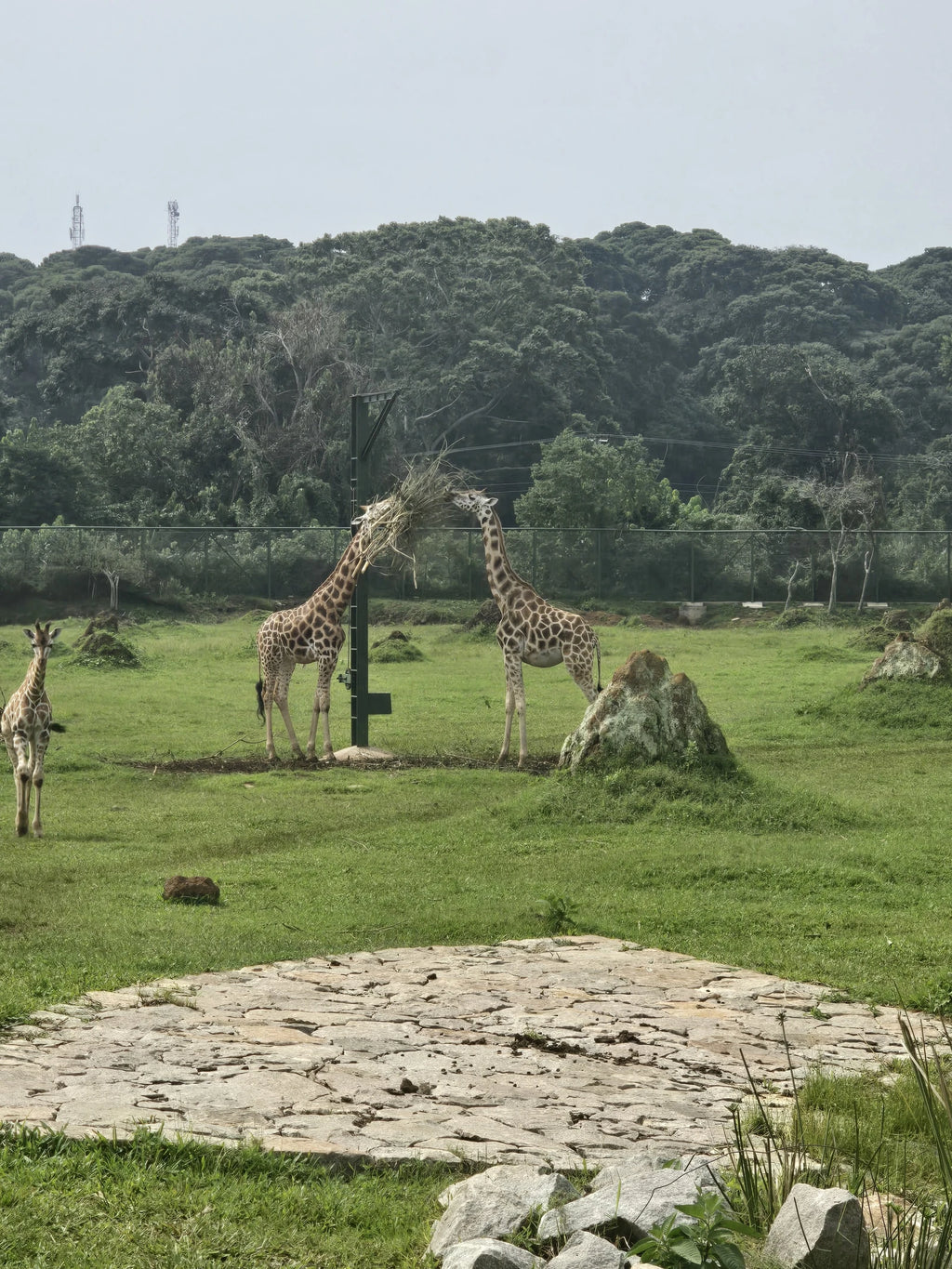 Uganda Wildlife Conservation Education Centre, Entebbe Uganda