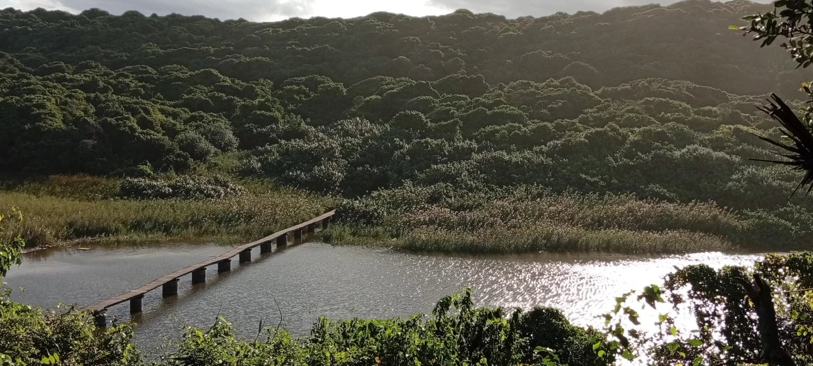uMhlanga Lagoon Nature Reserve, Blackburn South Africa
