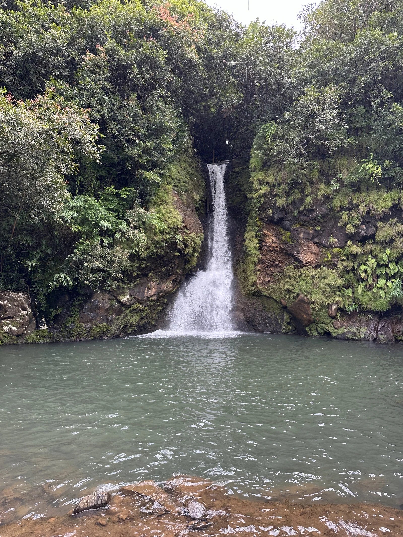 Vallé Advenature Park (formerly La Vallée des Couleurs), Chamouny Mauritius