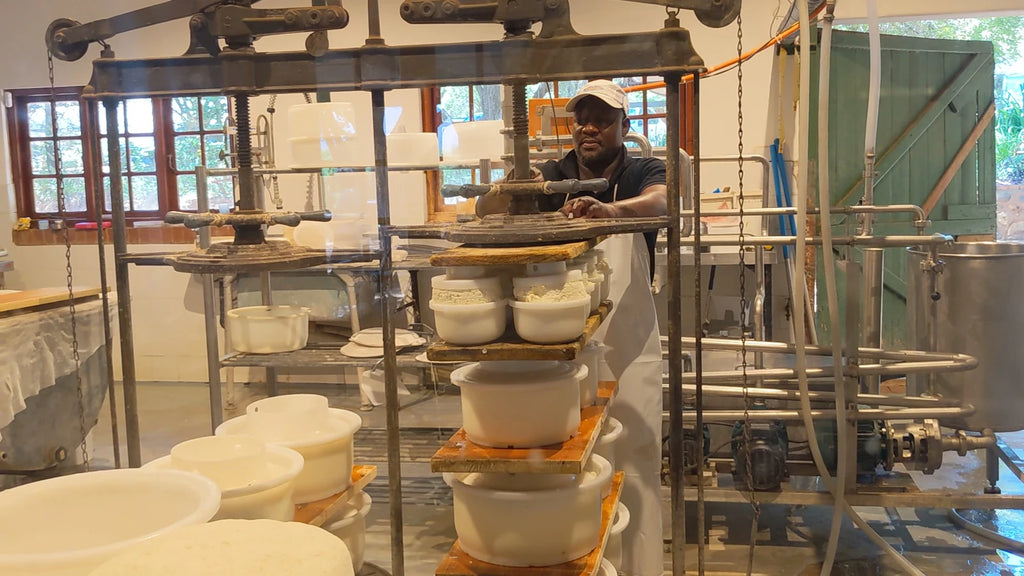 Van Gaalen Cheese Farm, Hartbeespoort South Africa
