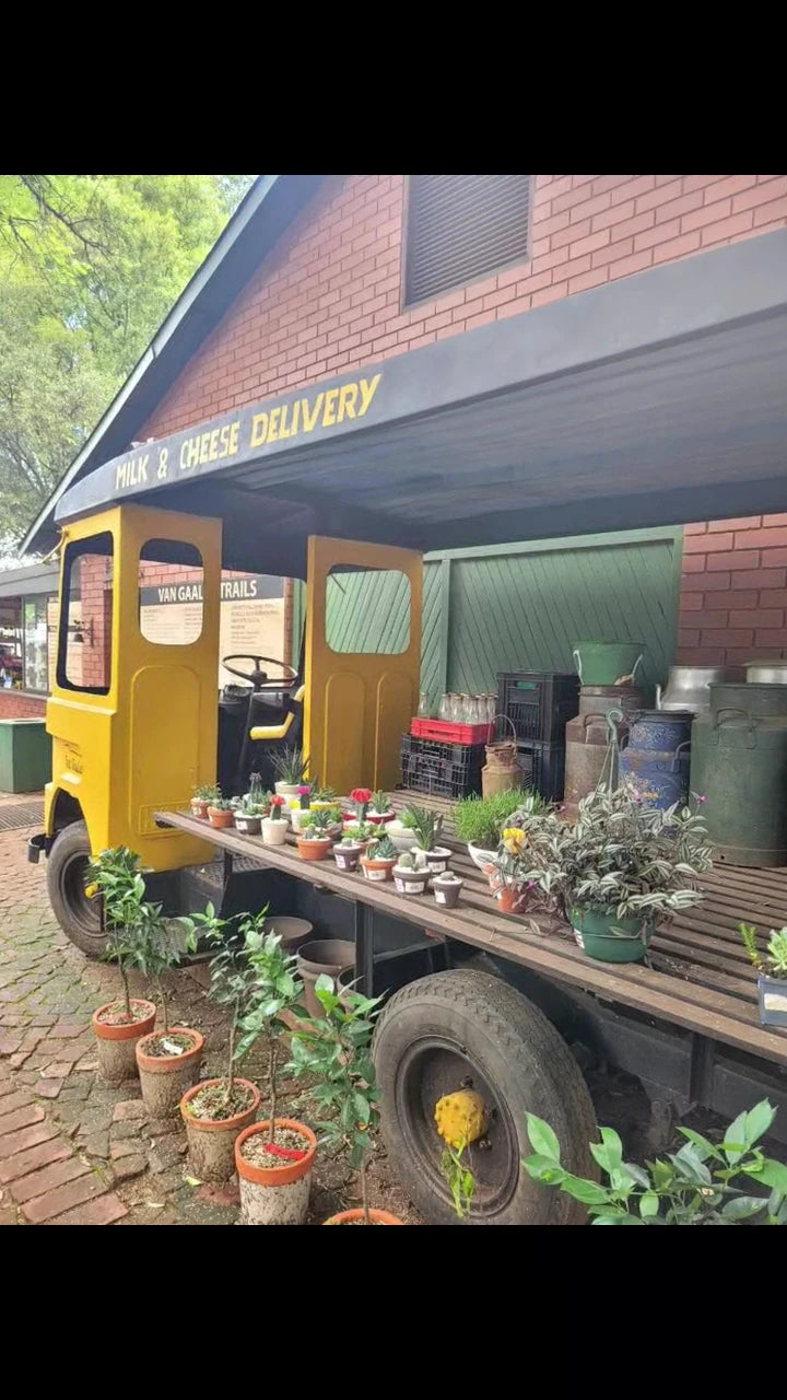 Van Gaalen Cheese Farm, Hartbeespoort South Africa