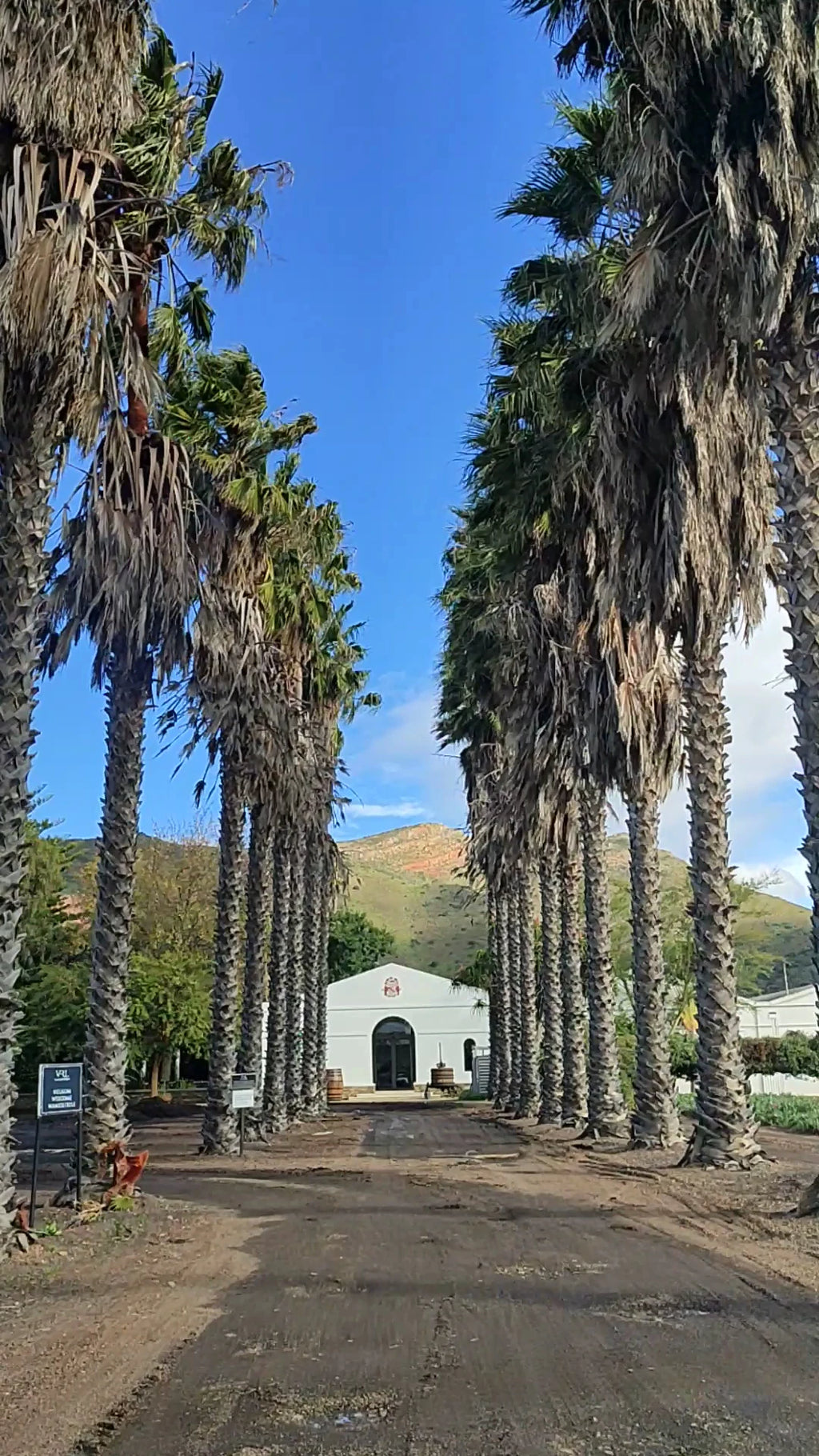 Van Loveren Family Vineyards, Robertson South Africa