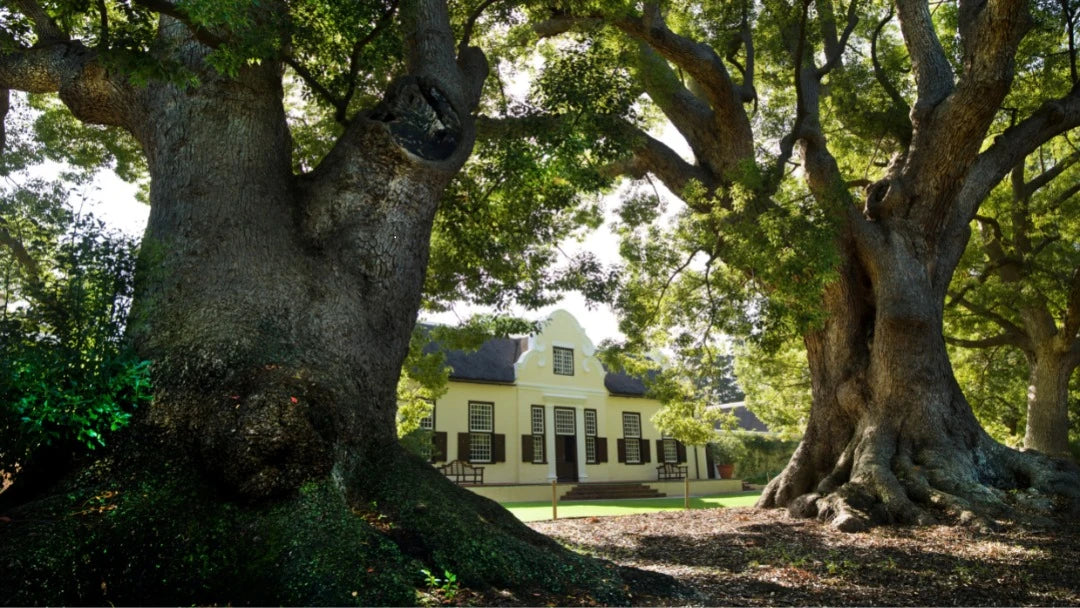 Vergelegen Wine Estate, Cape Town South Africa