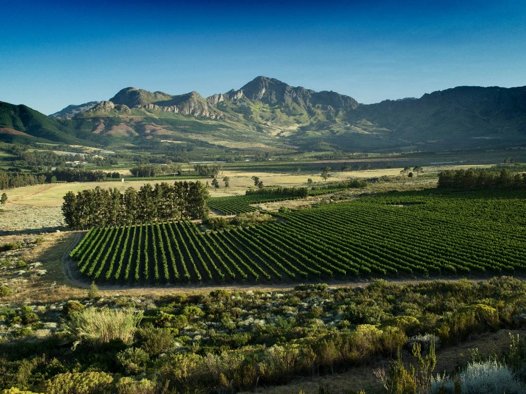Vergelegen Wine Estate, Cape Town South Africa