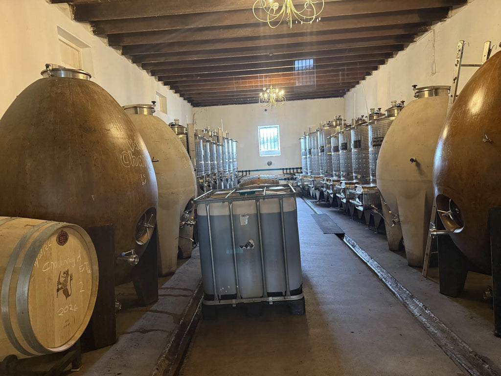 Vergenoegd Löw Wine Estate, Cape Town South Africa