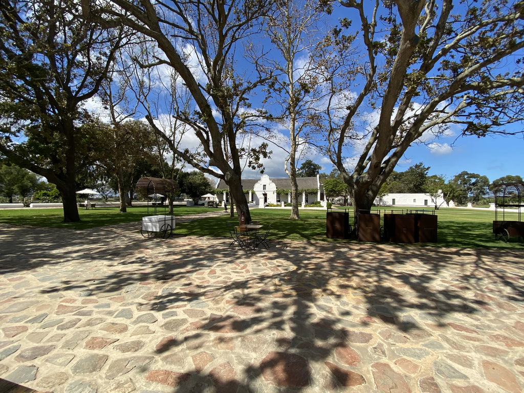 Vergenoegd Löw Wine Estate, Cape Town South Africa