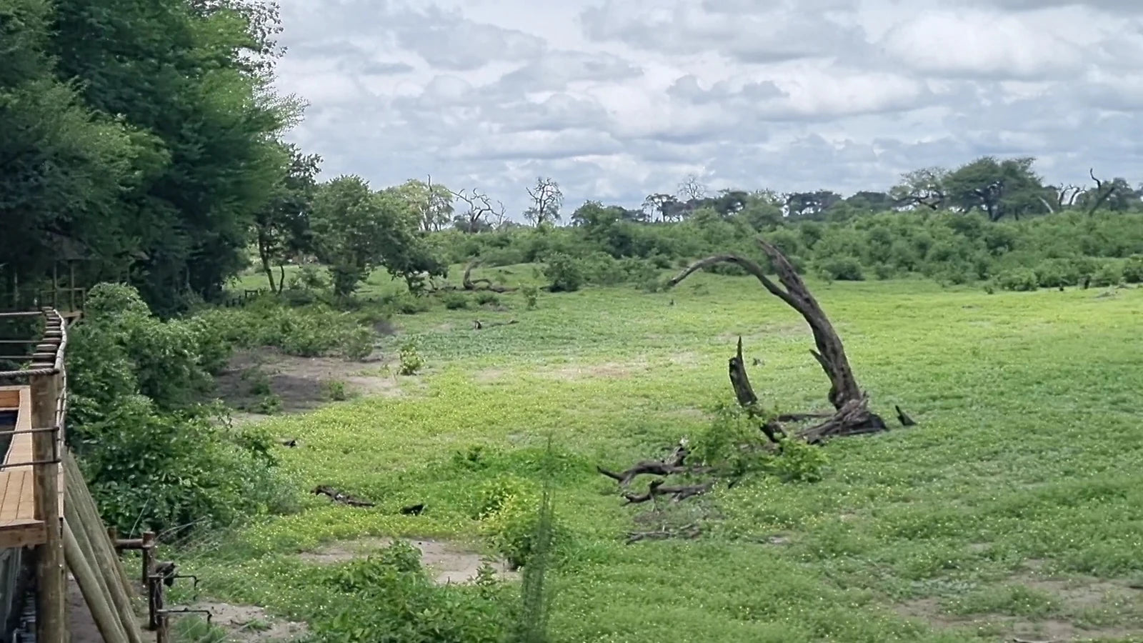 Victoria Falls Safari Club, Victoria Falls Zimbabwe