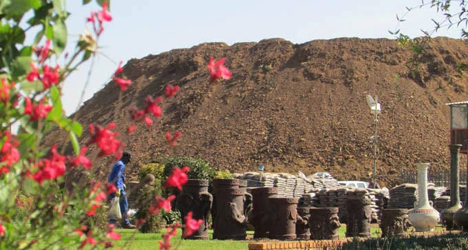 Viewpoint Farming, Boksburg South Africa
