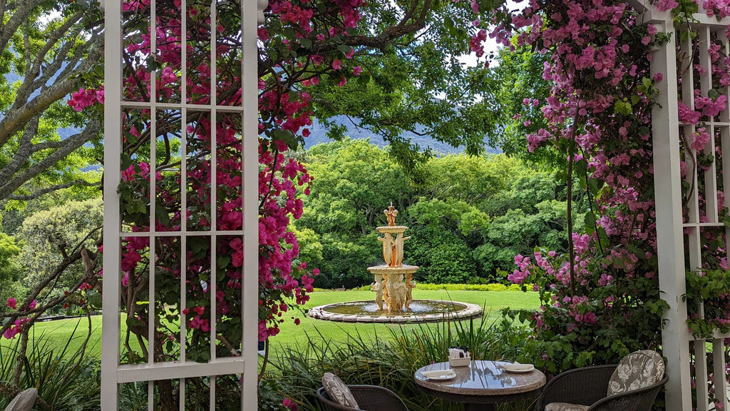 Vineyard Hotel, Cape Town South Africa