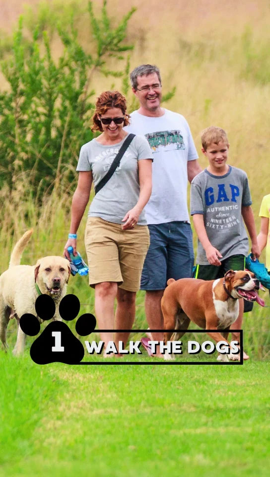 Walkhaven Dog Park, Johannesburg South Africa