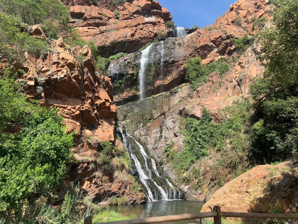 Walter Sisulu National Botanical Garden, Roodepoort South Africa