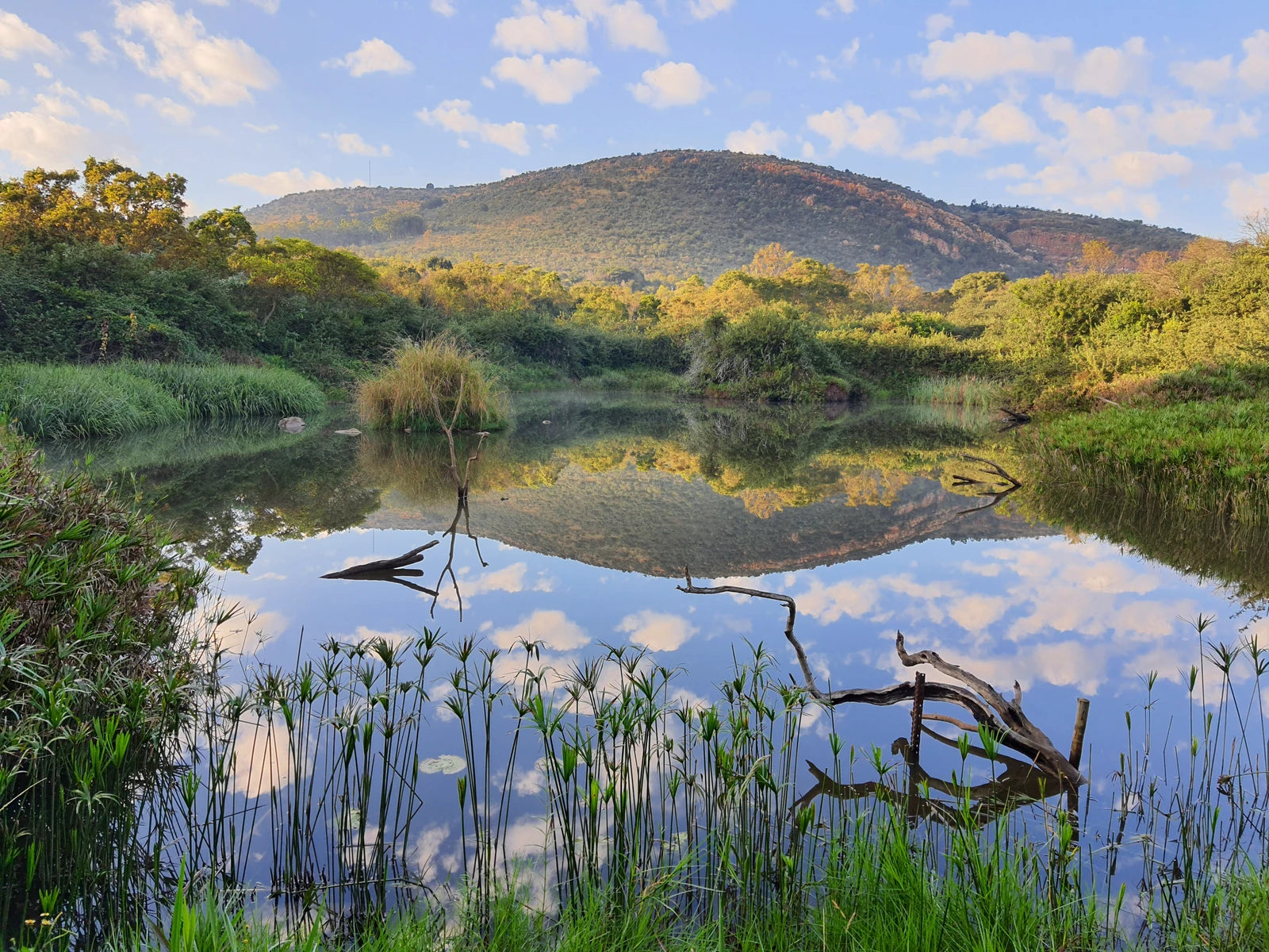 Walter Sisulu National Botanical Garden, Roodepoort South Africa