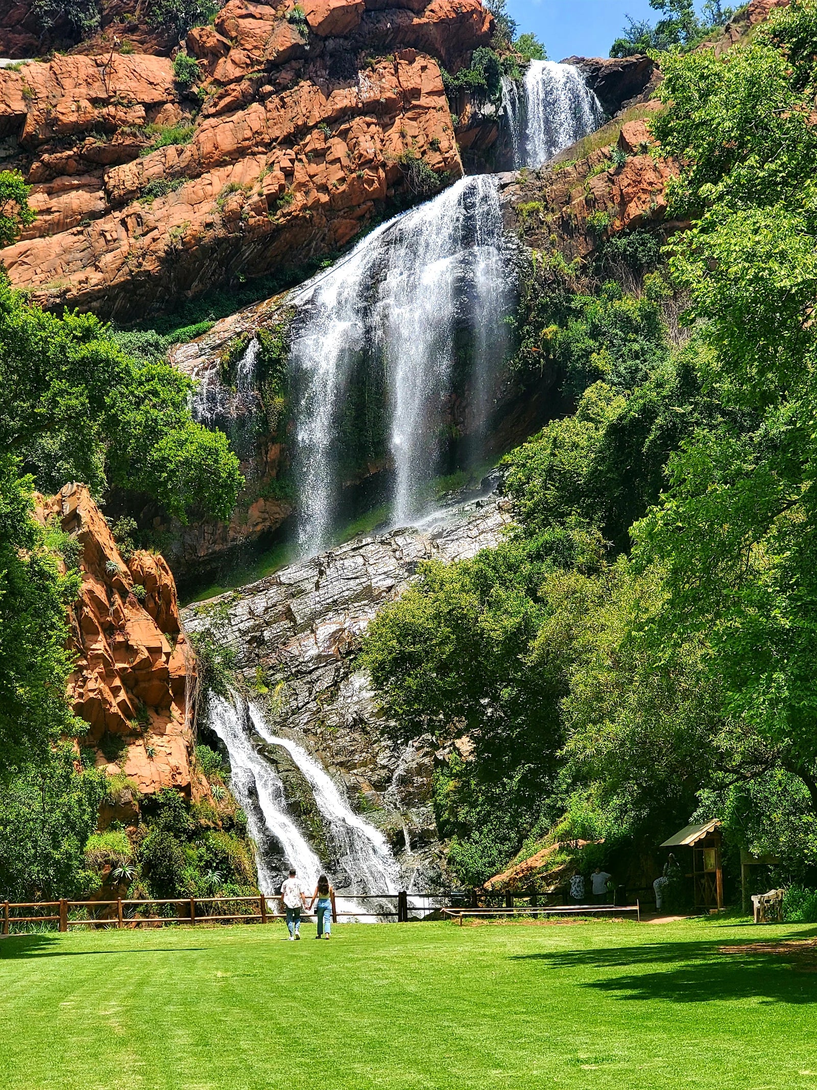 Walter Sisulu National Botanical Garden, Roodepoort South Africa