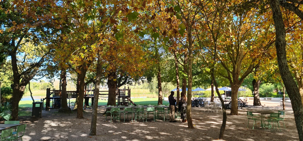 Warwick Wine Estate, Stellenbosch South Africa