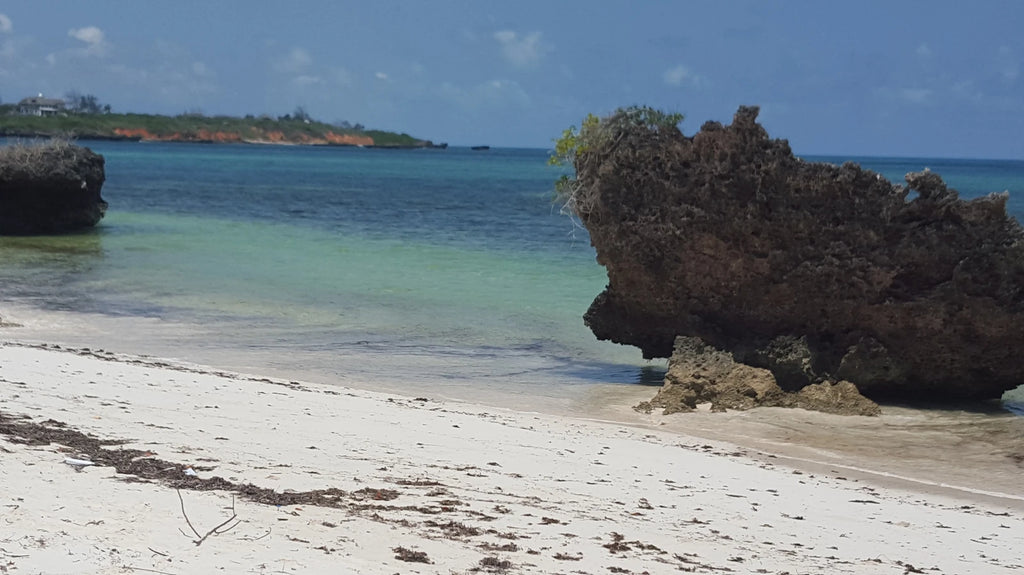 Watamu Marine National Park & Reserve, North Kenya