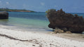 Watamu Marine National Park & Reserve, North Kenya
