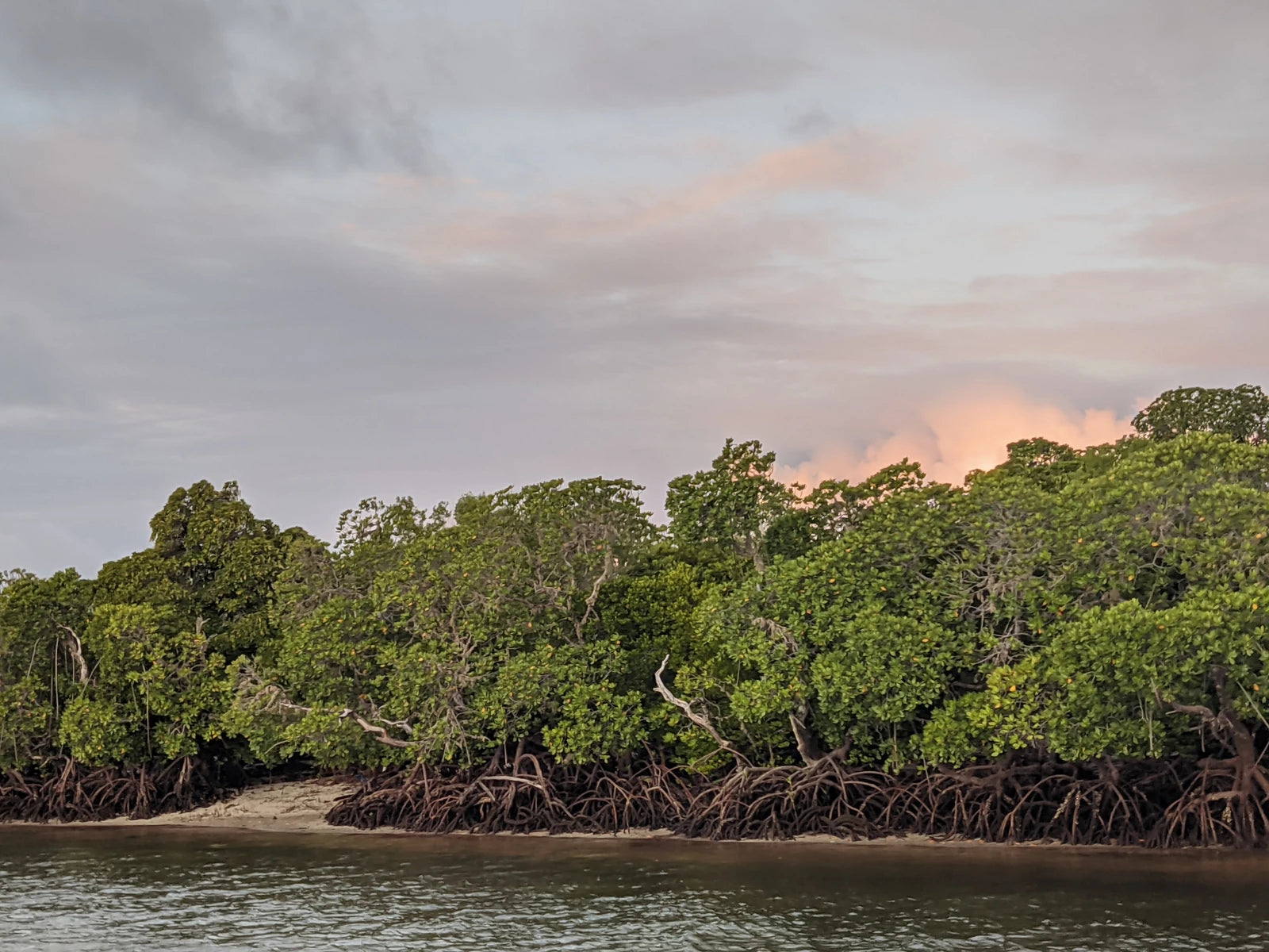 Watamu Marine National Park & Reserve, North Kenya