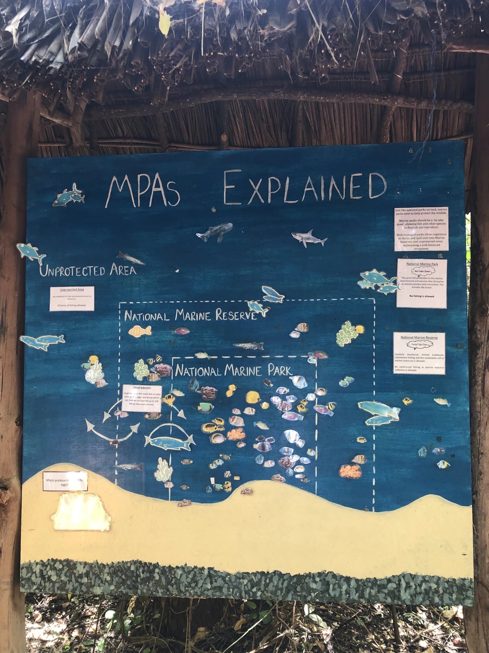 Watamu Marine National Park & Reserve, North Kenya
