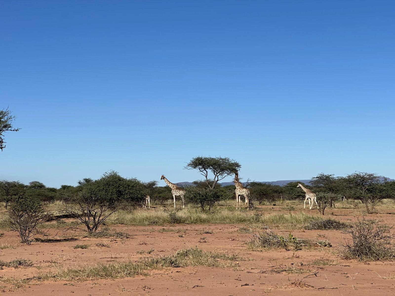 Waterberg Wilderness - ONE Namibia, Waterberg Namibia