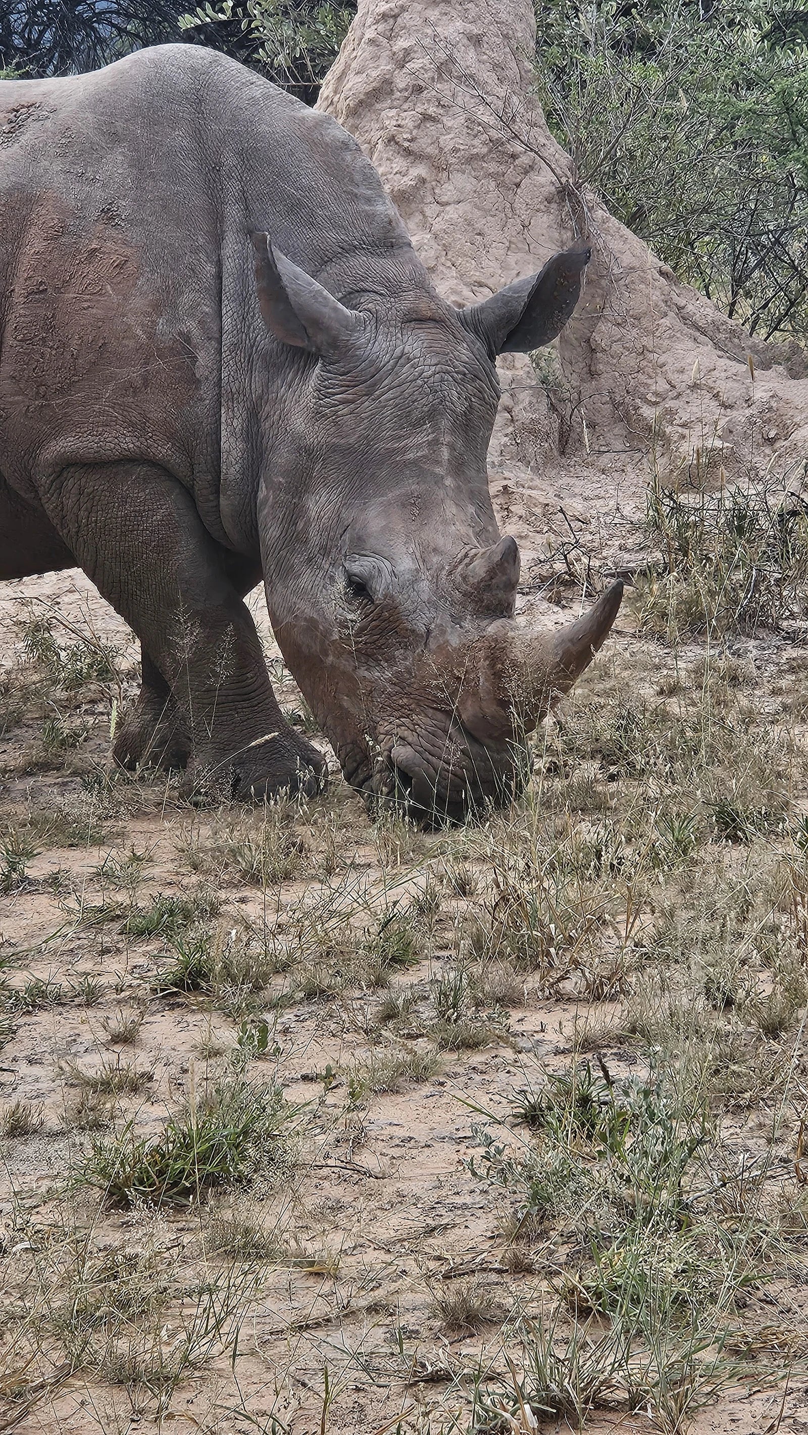 Waterberg Wilderness - ONE Namibia, Waterberg Namibia