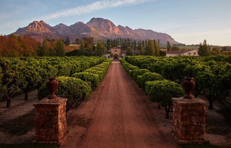 Waterford Estate, Stellenbosch South Africa