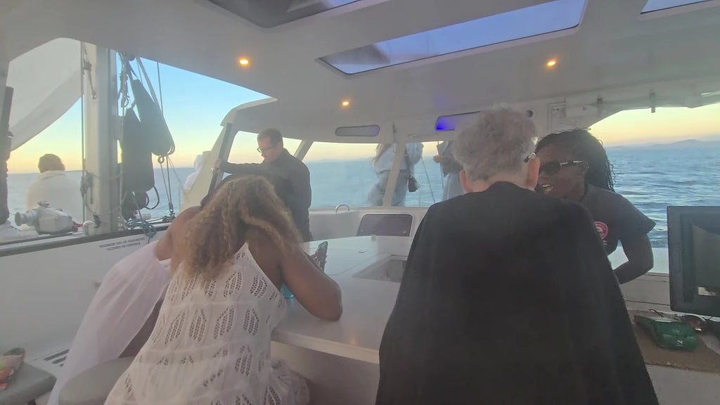 Waterfront Charters - Daily Boat Trips & Private Tours on a choice of luxury sail and motor boats, Cape Town South Africa