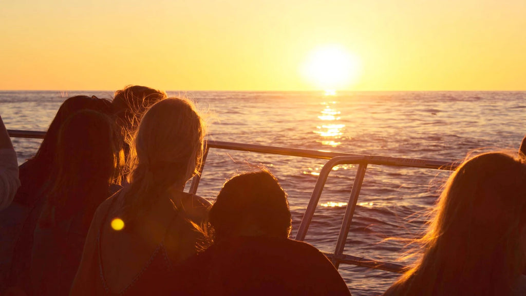 Waterfront Charters - Daily Boat Trips & Private Tours on a choice of luxury sail and motor boats, Cape Town South Africa
