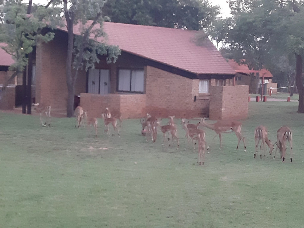 Weesgerus Holiday Resort, 
Modimolle South Africa