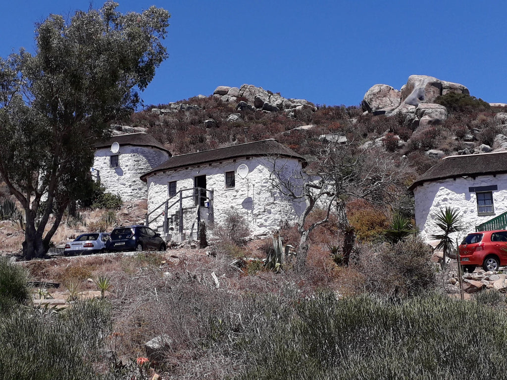 West Coast Fossil Park,  South Africa