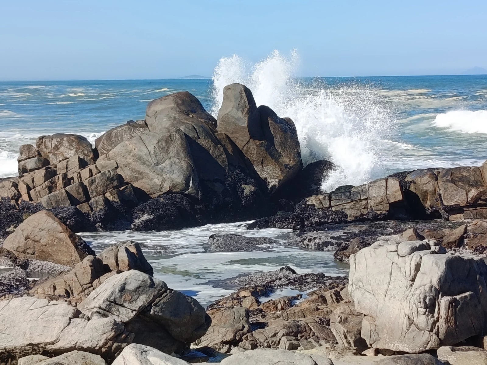 West Coast National Park Marine Protected Area, 
Langebaan South Africa