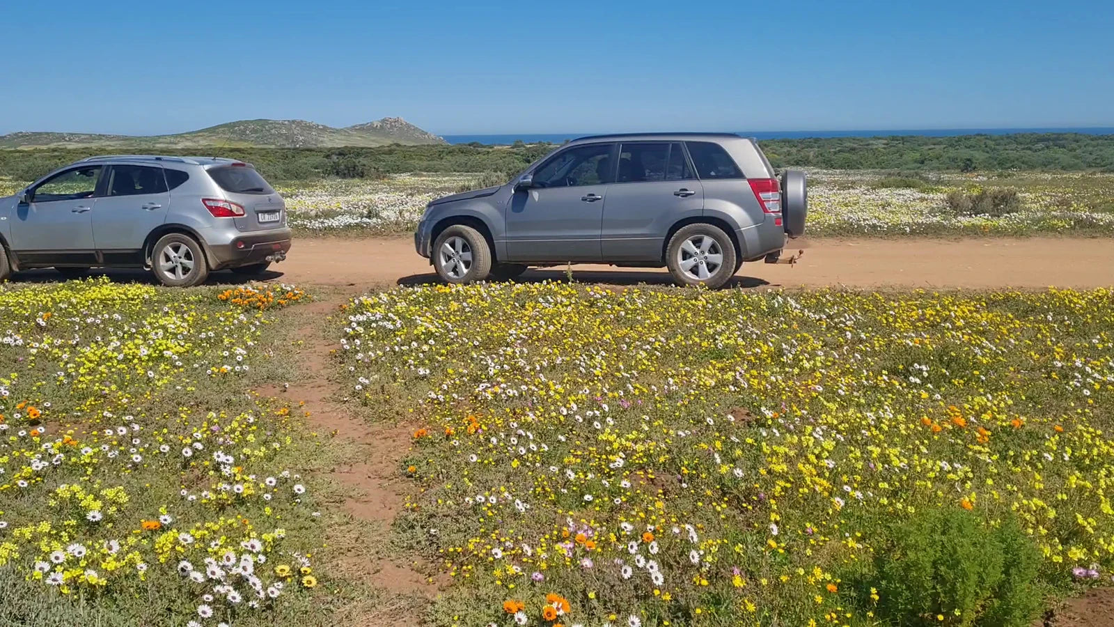 West Coast National Park Marine Protected Area, 
Langebaan South Africa