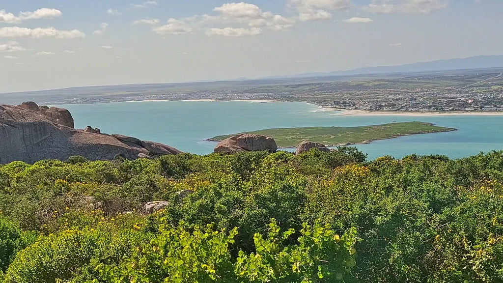 West Coast National Park Marine Protected Area, 
Langebaan South Africa
