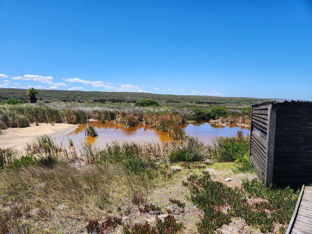 West Coast National Park Marine Protected Area, 
Langebaan South Africa