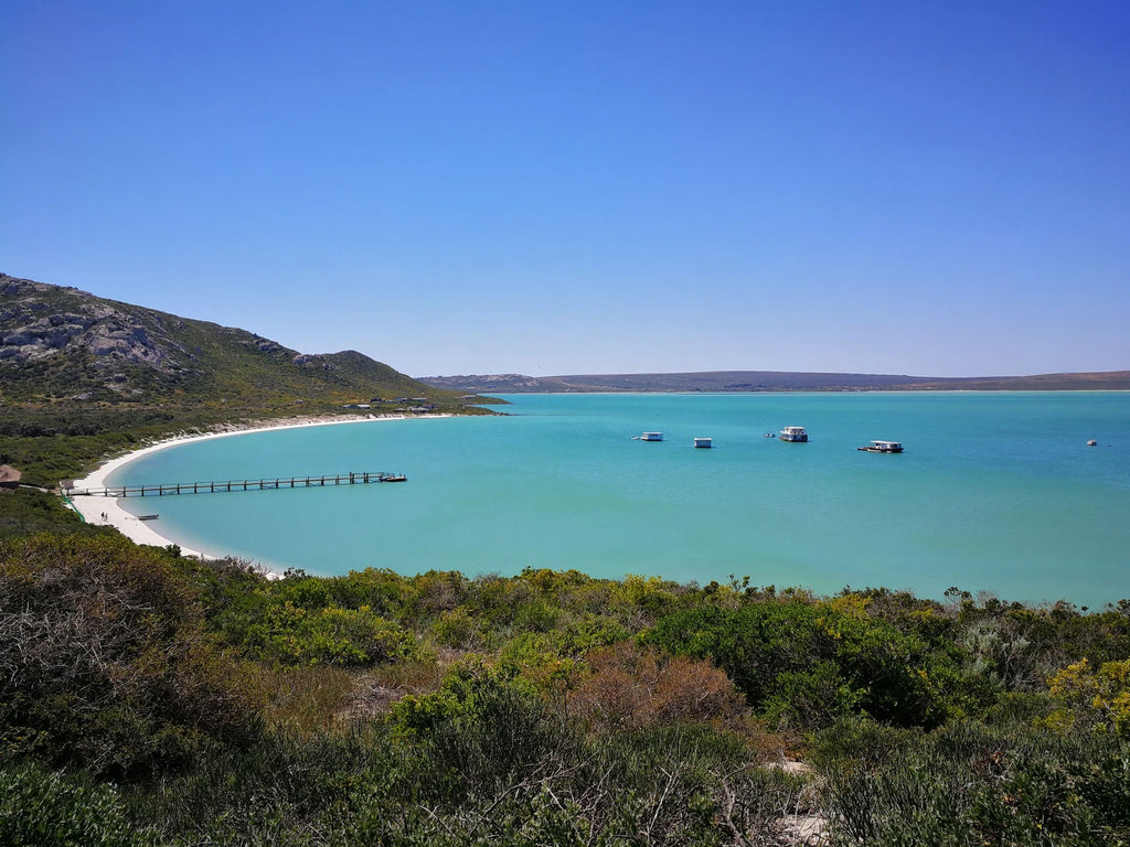 West Coast National Park, Langebaan South Africa