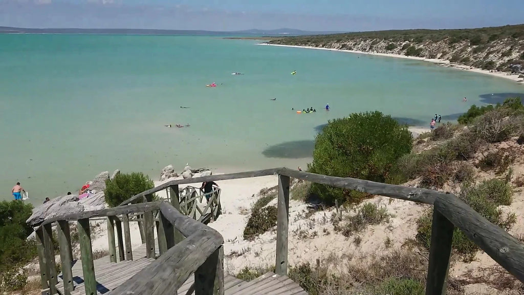 West Coast National Park, Langebaan South Africa