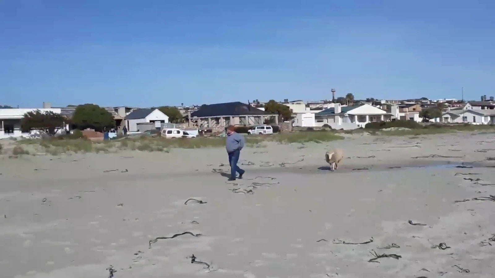 West Coast National Park, Langebaan South Africa