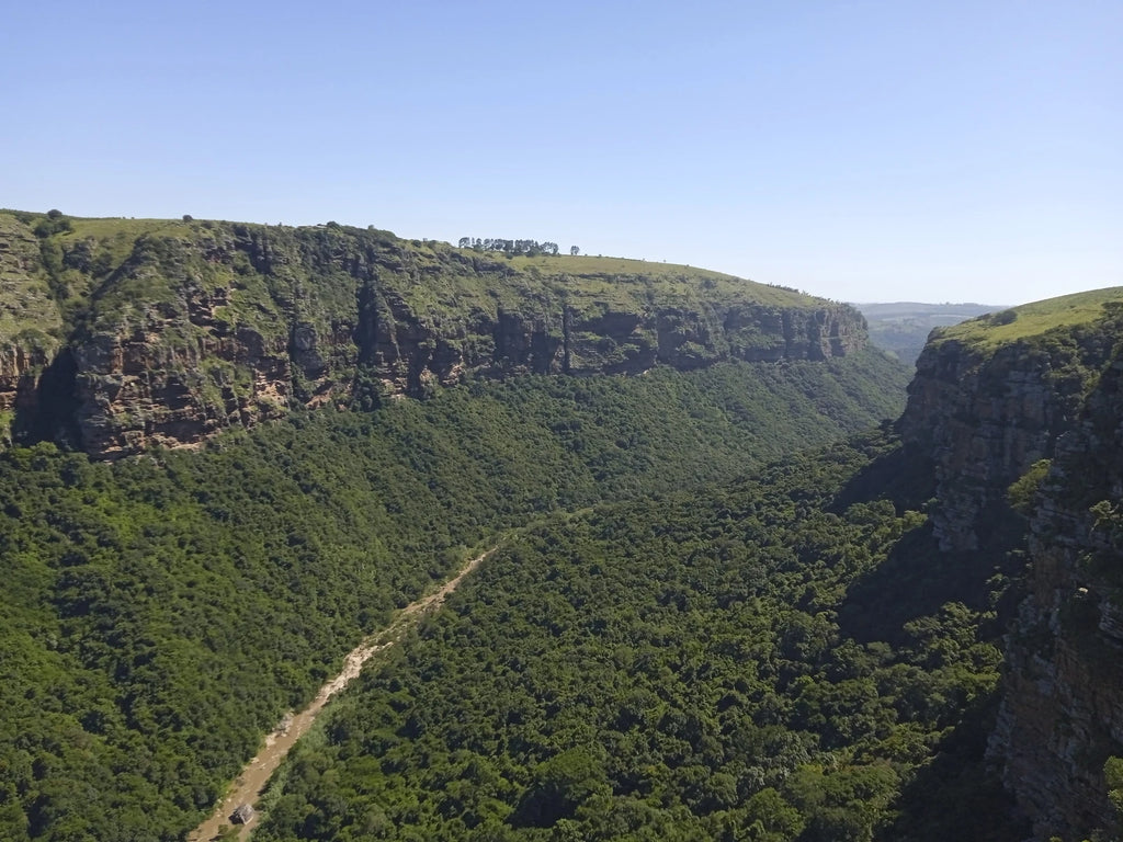 Wild 5 Adventures, Port Shepstone South Africa