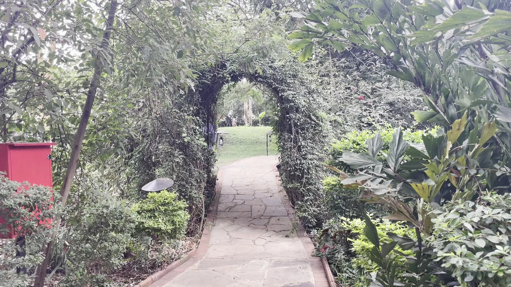 Wildebeest Eco Camp, Nairobi Kenya