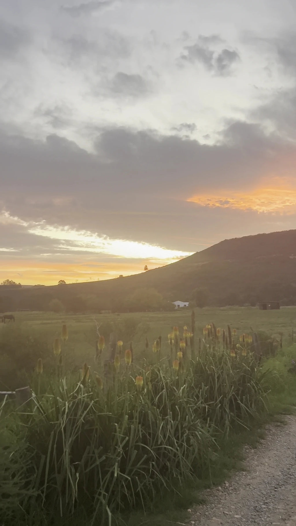 Wildebraam Berry Estate, Swellendam South Africa