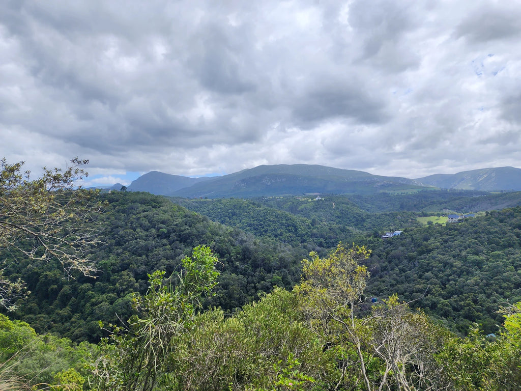 WildX Adventures Wilderness, Wilderness South Africa