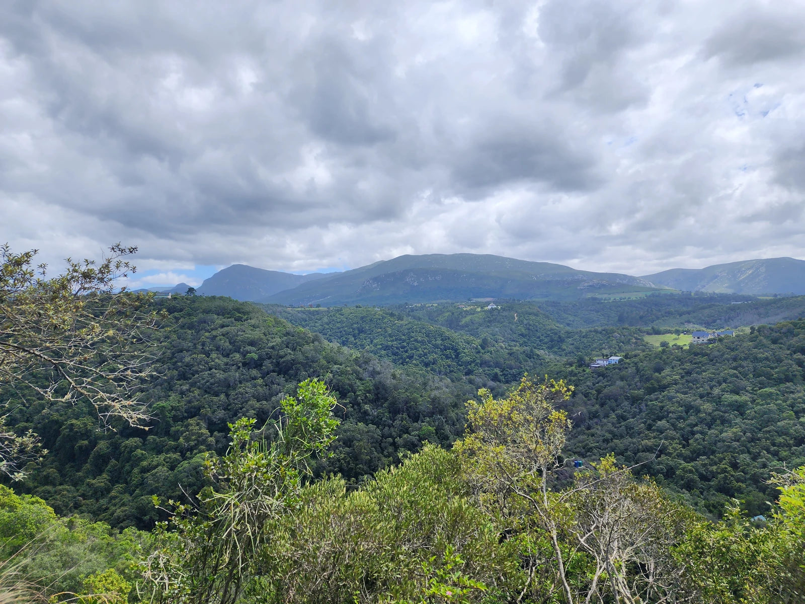 WildX Adventures Wilderness, Wilderness South Africa