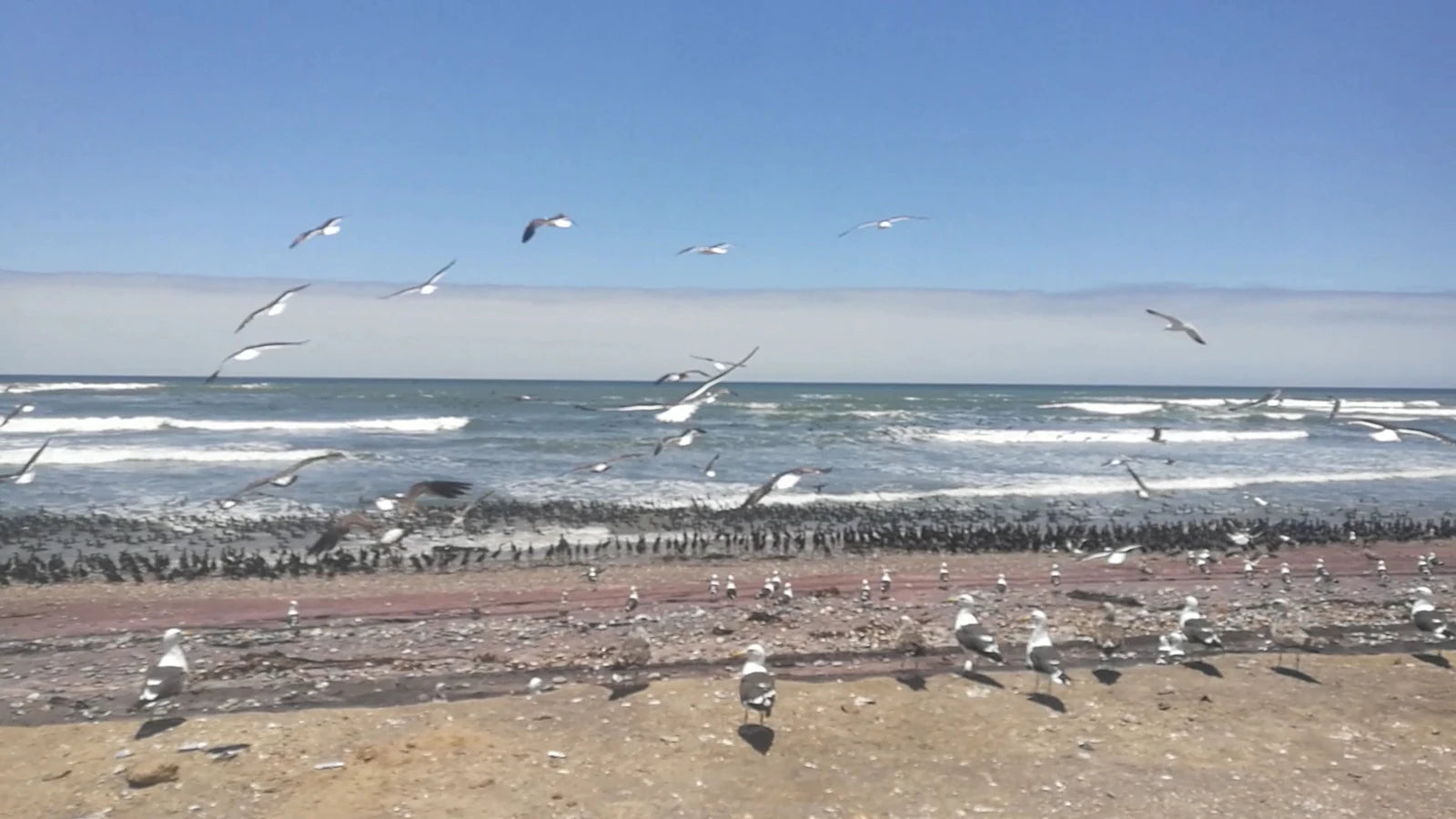 Windpomp 14, Swakopmund Namibia