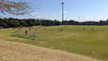 Wits Marks Park, Randburg South Africa