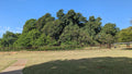 Wonderboom Nature Reserve, Pretoria South Africa