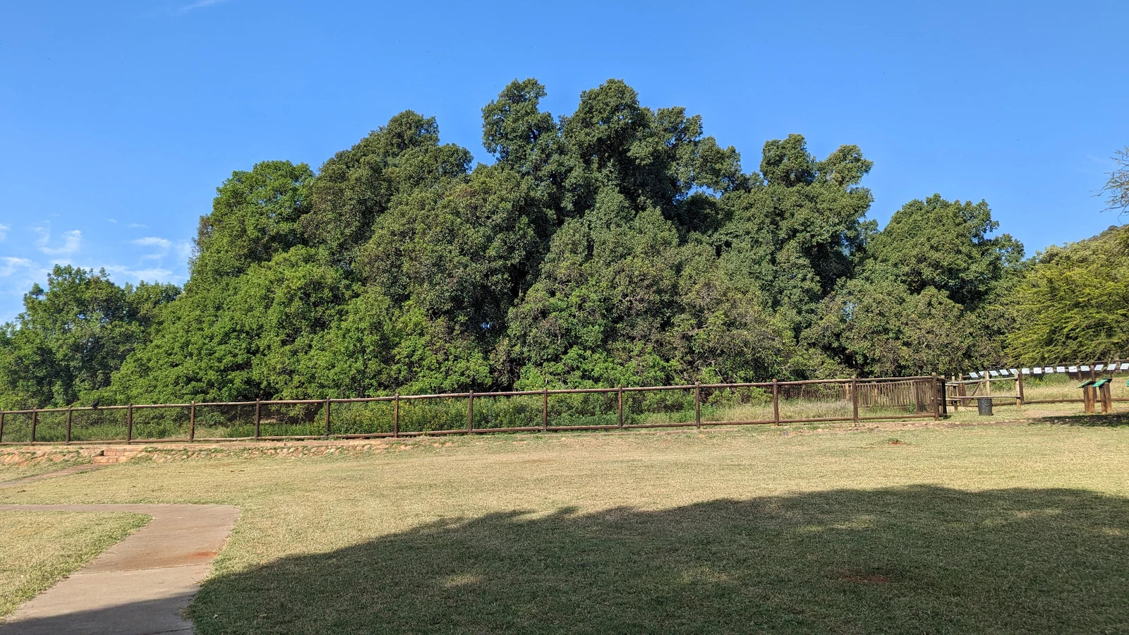 Wonderboom Nature Reserve