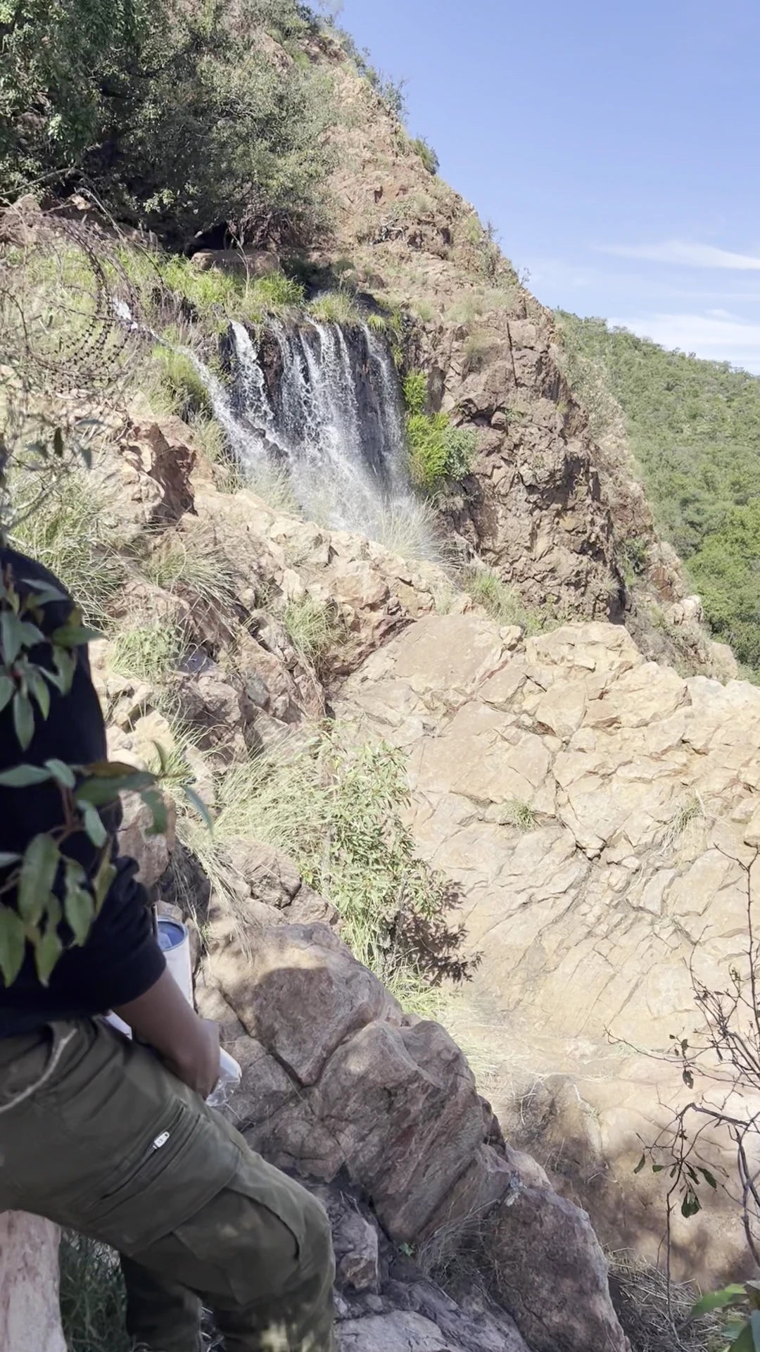 Wonderboom Nature Reserve, Pretoria South Africa