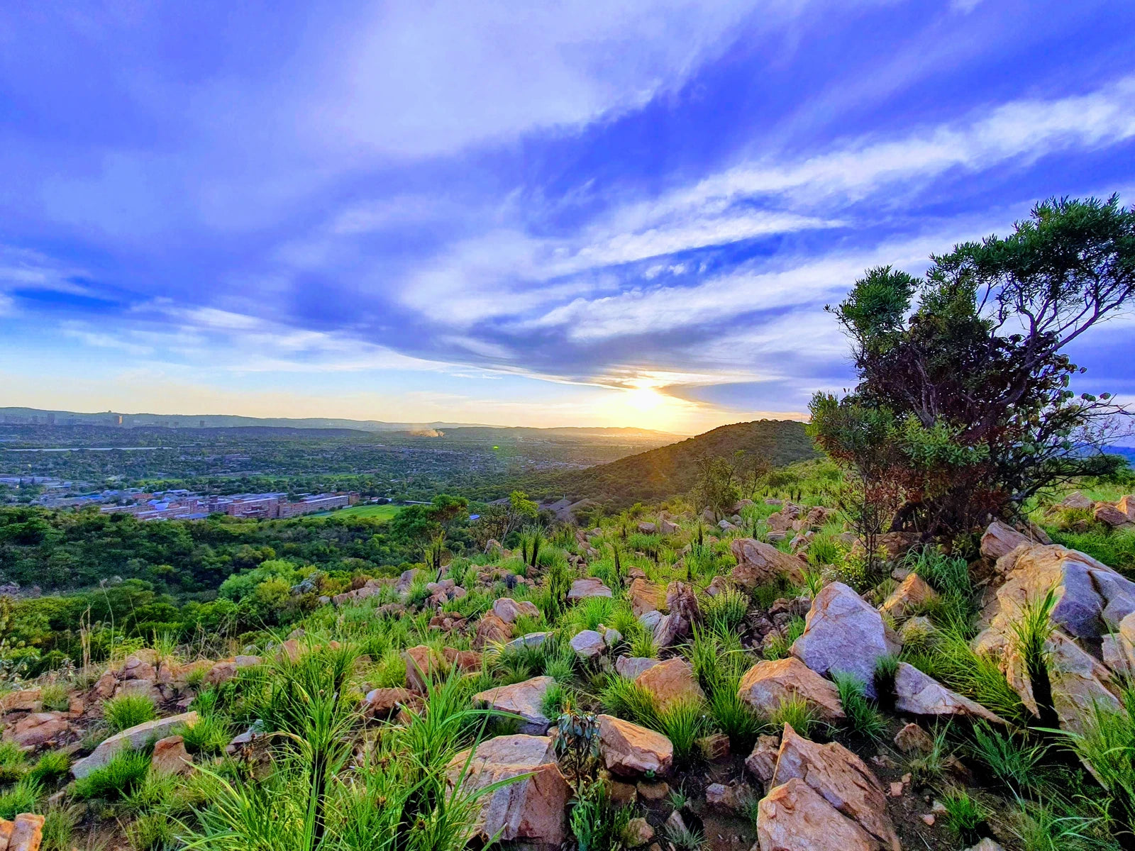 Wonderboom Nature Reserve, Pretoria South Africa
