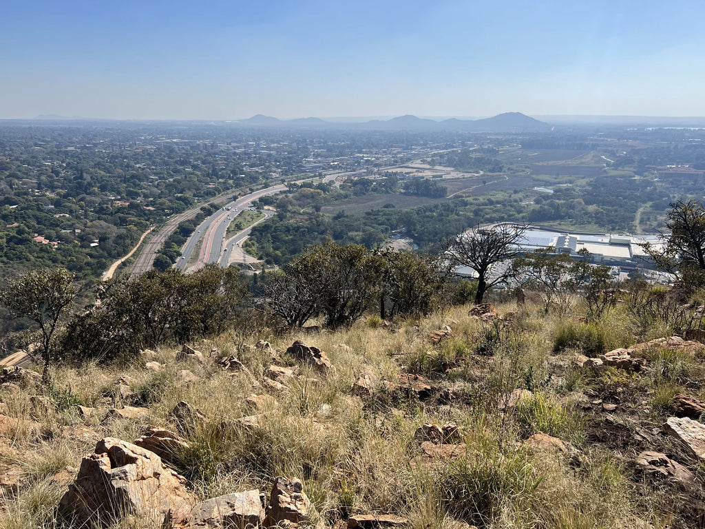 Wonderboom Nature Reserve, Pretoria South Africa