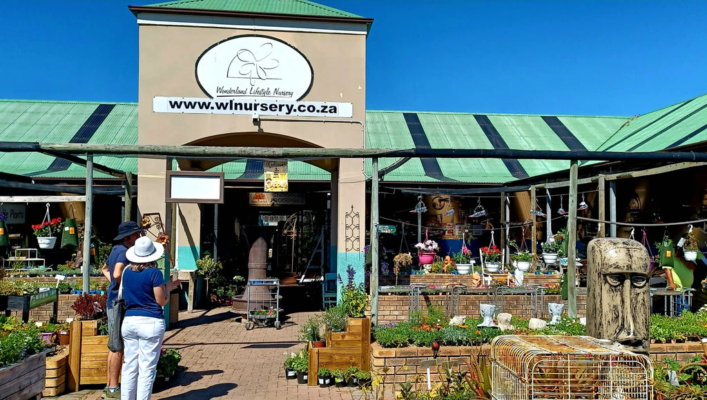 Wonderland Nursery, Coffee shop & Playpark, Hermanus South Africa